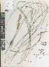  ( - QC2218-2)  @11 [ ] CreativeCommons  Attribution Non-Commercial Share-Alike (2022) Unspecified Beaty Biodiversity Museum