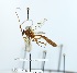  ( - NJBC02)  @14 [ ] CreativeCommons  Attribution Non-Commercial Share-Alike (2018) Niklas Johansson Swedish University of Agricultural Sciences