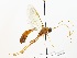  ( - NJBC 252)  @13 [ ] CreativeCommons  Attribution Non-Commercial Share-Alike (2017) Niklas Johansson Swedish University of Agricultural Sciences