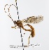  ( - NJBC 296)  @13 [ ] CreativeCommons  Attribution Non-Commercial Share-Alike (2018) Niklas Johansson Swedish University of Agricultural Sciences