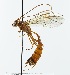  ( - NJBC 301)  @14 [ ] CreativeCommons  Attribution Non-Commercial Share-Alike (2018) Niklas Johansson Swedish University of Agricultural Sciences