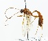  ( - NJBC 319)  @14 [ ] CreativeCommons  Attribution Non-Commercial Share-Alike (2018) Niklas Johansson Swedish University of Agricultural Sciences