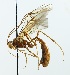  ( - NJBC 342)  @11 [ ] CreativeCommons  Attribution Non-Commercial Share-Alike (2018) Niklas Johansson Swedish University of Agricultural Sciences