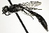  ( - NJBC 409)  @14 [ ] CreativeCommons  Attribution Non-Commercial Share-Alike (2018) Niklas Johansson Swedish University of Agricultural Sciences