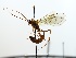  ( - NJBC09)  @11 [ ] CreativeCommons  Attribution Non-Commercial Share-Alike (2017) Niklas Johansson Swedish University of Agricultural Sciences