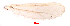  ( - song205)  @11 [ ] Copyright (2015) Chao Song Nankai University