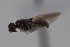  ( - cau02002)  @11 [ ] CreativeCommons - Attribution Non-Commercial Share-Alike (2010) China Agricultural University, Insect Collection China Agricultural University, Insect Collection