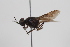  ( - cau02013)  @11 [ ] CreativeCommons - Attribution Non-Commercial Share-Alike (2010) China Agricultural University, Insect Collection China Agricultural University, Insect Collection