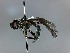  ( - SUAL0284)  @13 [ ] CreativeCommons  Attribution A. Lucas (2016) Unspecified Swansea University