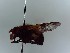  ( - SUAL0381)  @11 [ ] CreativeCommons  Attribution A. Lucas (2016) Unspecified Swansea University