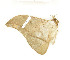  ( - CTBB-1417)  @13 [ ] Copyright (2014) Thierry Bouyer Research Collection of RBINS