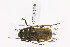 ( - CTBB-1540)  @12 [ ] Copyright (2014) Alain Drumont Research Collection of Alain Drumont
