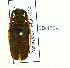 ( - CTBB-1759)  @14 [ ] Copyright (2015) Alain Drumont Research Collection of Alain Drumont