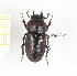  ( - CTBB-2285)  @11 [ ] Copyright © (2018) Th. Bouyer Research Collection of Thierry Bouyer