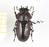  ( - CTBB-2286)  @11 [ ] Copyright © (2018) Th. Bouyer Research Collection of Thierry Bouyer