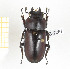  ( - CTBB-2287)  @11 [ ] Copyright © (2018) Th. Bouyer Research Collection of Thierry Bouyer