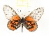  ( - CTBB-2647)  @11 [ ] Copyright © (2019) Thierry Bouyer Research Collection of Thierry Bouyer
