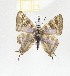  ( - CTBB-2690)  @11 [ ] Copyright © (2019) Thierry Bouyer Research Collection of Thierry Bouyer