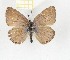  ( - CTBB-2691)  @11 [ ] Copyright © (2019) Thierry Bouyer Research Collection of Thierry Bouyer