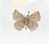  ( - CTBB-2696)  @11 [ ] Copyright © (2019) Thierry Bouyer Research Collection of Thierry Bouyer