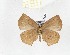  ( - CTBB-2697)  @11 [ ] Copyright © (2019) Thierry Bouyer Research Collection of Thierry Bouyer