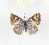  ( - CTBB-2699)  @11 [ ] Copyright © (2019) Thierry Bouyer Research Collection of Thierry Bouyer