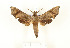  ( - CTBB-2715)  @11 [ ] Copyright © (2020) Thierry Bouyer Research Collection of Thierry Bouyer