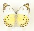  ( - CTBB-2766)  @11 [ ] Copyright © (2020) Thierry Bouyer Research Collection of Thierry Bouyer