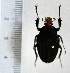  ( - CTBB-3012)  @11 [ ] Copyright © (2018) Philippe Léonard Research Collection of Philippe Léonard
