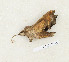  ( - CTBB-3114)  @11 [ ] Copyright © (1957) Th. Bouyer Research Collection of Thierry Bouyer