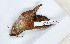  ( - CTBB-3119)  @11 [ ] Copyright © (1962) Th. Bouyer Research Collection of Thierry Bouyer