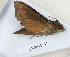  ( - CTBB-3147)  @11 [ ] Copyright © (1990) Th. Bouyer Research Collection of Thierry Bouyer