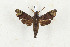  ( - CTBB-3256)  @11 [ ] Copyright © (2004) Th. Bouyer Research Collection of Thierry Bouyer