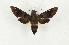  ( - CTBB-3262)  @14 [ ] Copyright © (2010) Th. Bouyer Research Collection of Thierry Bouyer