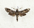  ( - CTBB-3290)  @11 [ ] Copyright © (2021) Th. Bouyer Research Collection of Thierry Bouyer