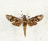  ( - CTBB-3295)  @11 [ ] Copyright © (2021) Th. Bouyer Research Collection of Thierry Bouyer