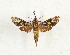  ( - CTBB-3296)  @11 [ ] Copyright © (2021) Th. Bouyer Research Collection of Thierry Bouyer
