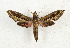  ( - CTBB-3319)  @11 [ ] Copyright © (2021) Th. Bouyer Research Collection of Thierry Bouyer