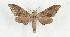  ( - CTBB-3335)  @11 [ ] Copyright © (2021) Th. Bouyer Research Collection of Thierry Bouyer
