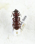  ( - CTBB-3378)  @11 [ ] Copyright © (2021) Th. Bouyer Research Collection of Thierry Bouyer