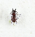  ( - CTBB-3379)  @11 [ ] Copyright © (2021) Th. Bouyer Research Collection of Thierry Bouyer