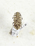  ( - CTBB-3387)  @11 [ ] Copyright © (2021) Th. Bouyer Research Collection of Thierry Bouyer