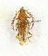  ( - CTBB-3393)  @11 [ ] Copyright © (2021) Th. Bouyer Research Collection of Thierry Bouyer