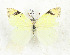  ( - CTBB-3494)  @11 [ ] Copyright © (2021) Th. Bouyer Research Collection of Thierry Bouyer