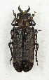  ( - CTBB-3562)  @11 [ ] Copyright © (2021) Th. Bouyer Research Collection of Thierry Bouyer