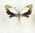  ( - CTBB-3632)  @11 [ ] Copyright © (2023) Th. Bouyer Research Collection of Thierry Bouyer