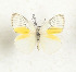  ( - CTBB-3634)  @11 [ ] Copyright © (2023) Th. Bouyer Research Collection of Thierry Bouyer