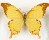  ( - CTBB-3651)  @11 [ ] Copyright © (2023) Th. Bouyer Research Collection of Thierry Bouyer