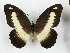 ( - CTBB-3673)  @11 [ ] Copyright © (2023) Th. Bouyer Research Collection of Thierry Bouyer