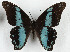 ( - CTBB-3676)  @11 [ ] Copyright © (2023) Th. Bouyer Research Collection of Thierry Bouyer